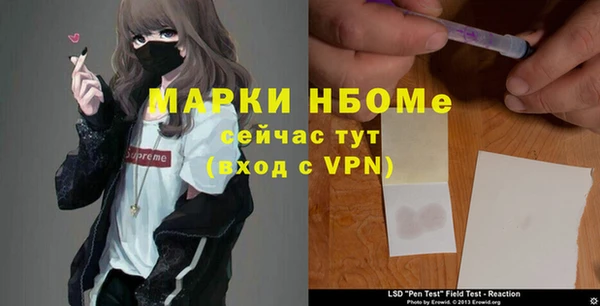 apvp Алзамай